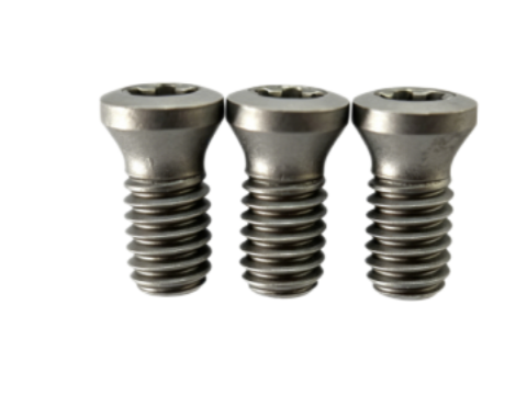 Werkzeugschraube TORX® Plus