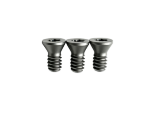 Werkzeugschraube TORX® Plus