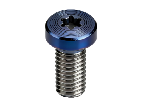 Premium Torx Pan Head Screws wi